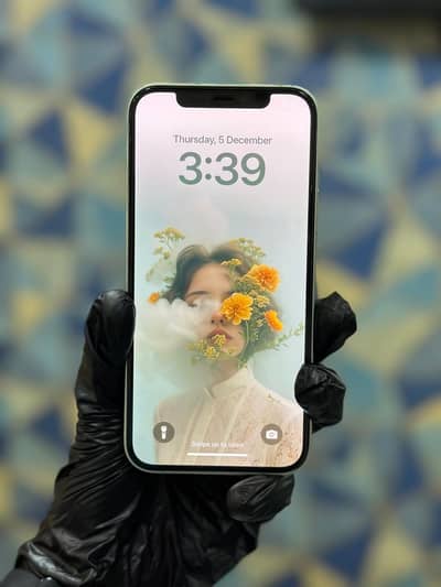 Apple iPhone 12 256GB PTA Approved