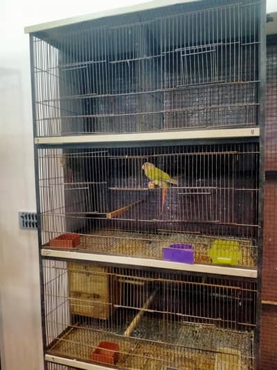 8 portion cage 03127093372