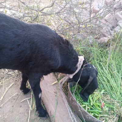 Contact now before it,s sold!