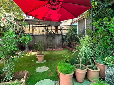 8 x 6 x 4 full flight cage for lorikeets, parakeets, cockatails, etc