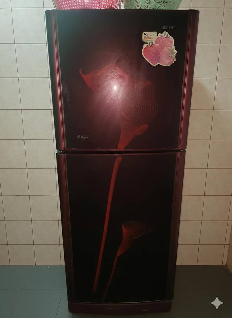 Medium Size Fridge 0