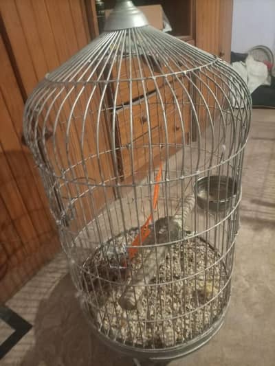 Cage, in great condition