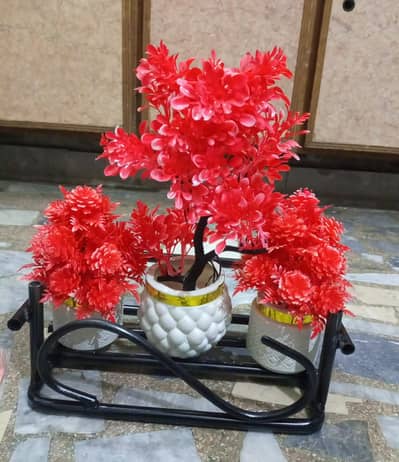 plants decoration wall