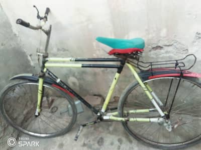 sohrab 22" converted to  mountain