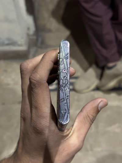 Official pta approved