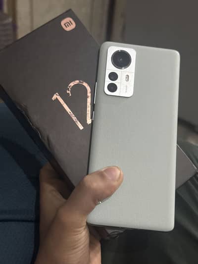 Zero zero lush conditions