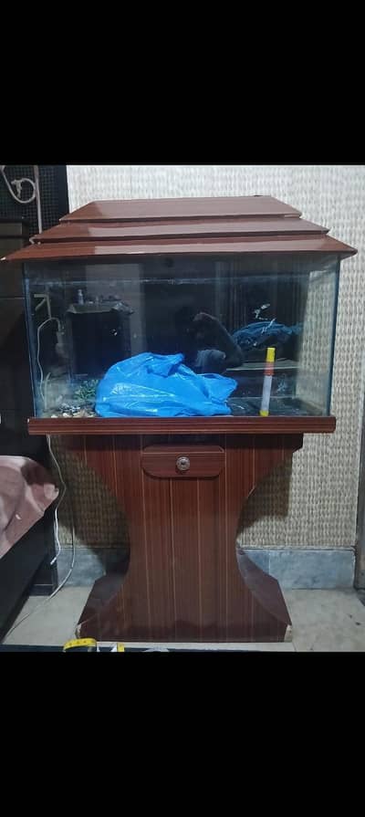 2.5 Feet Aquarium Tank for Sale – 10,000