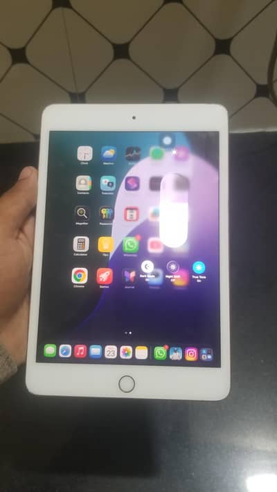 ipad mini 5