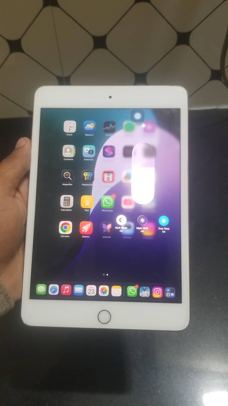 ipad mini 5 0