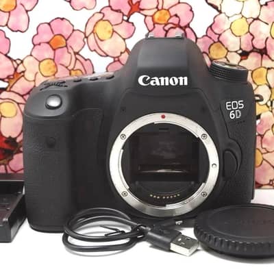canon 6D body