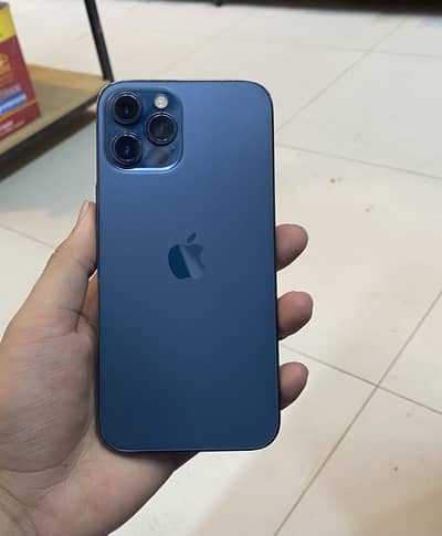 12 promax pta approved