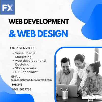 Professional Web Development & Web Design / SEO Services