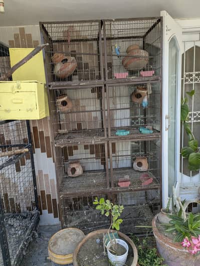 All cages for sale - Business khatam kerdia hai