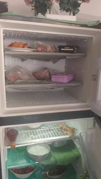 dawlance fridge exciteent