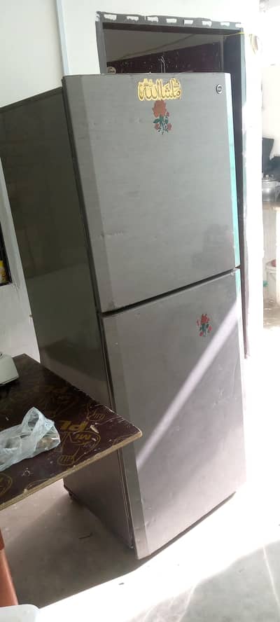 pel fridge Large size