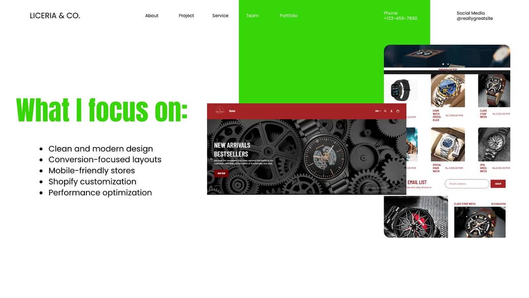 Shopify store designer and E- commerce developer 3