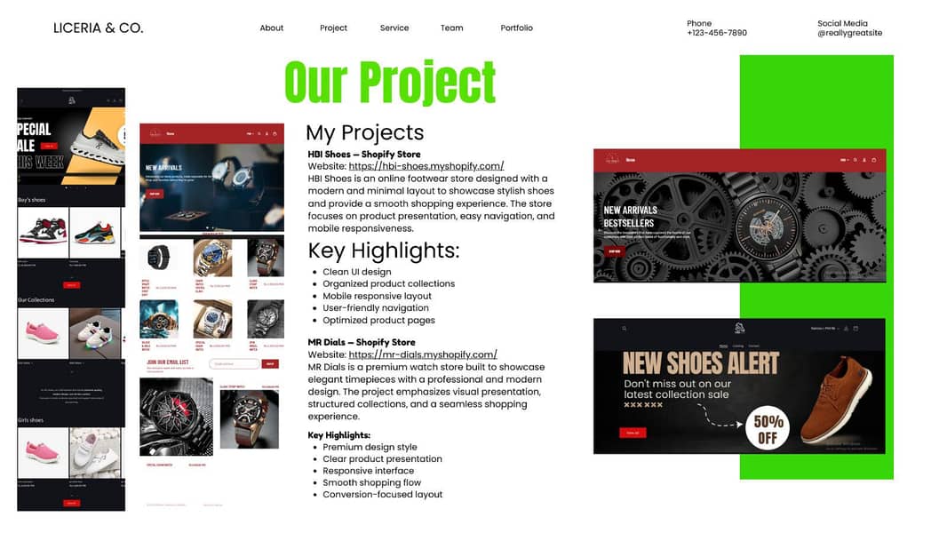 Shopify store designer and E- commerce developer 4