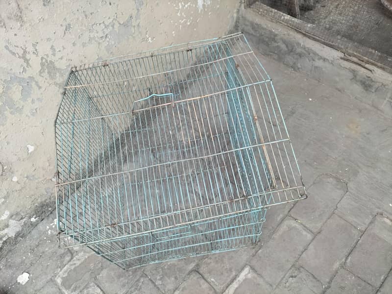 Cage for Budgies/Love Birds/Java 3