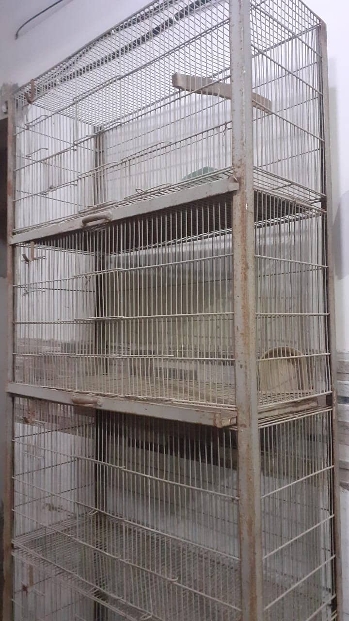 Bird cage 0