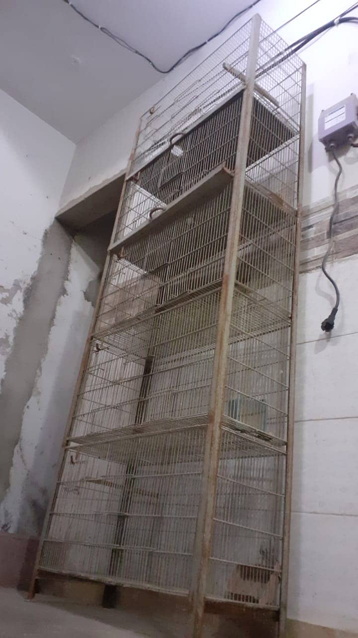 Bird cage 1