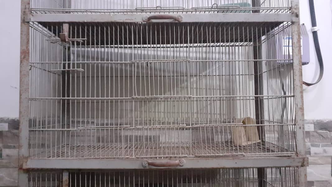 Bird cage 2