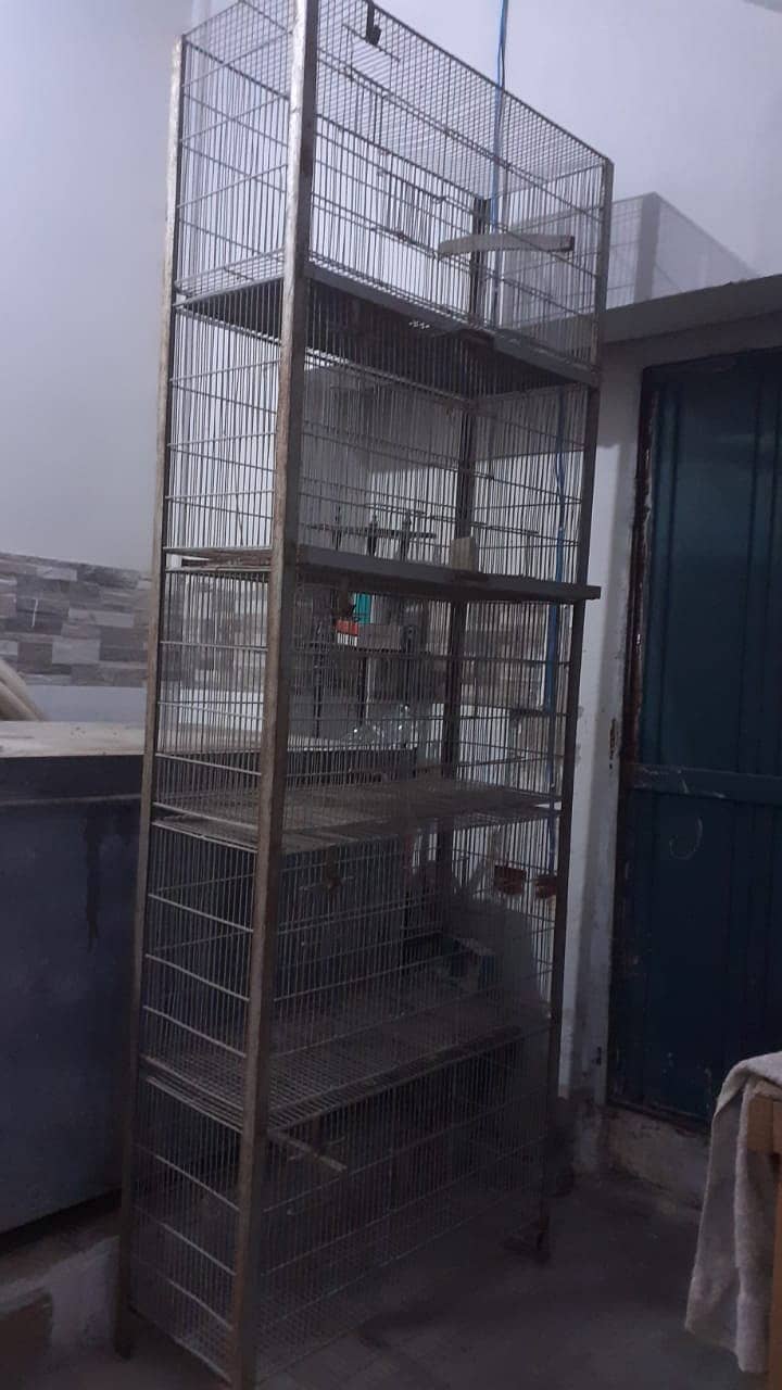 Bird cage 5