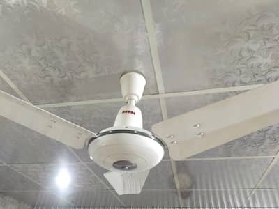 selling my three Royal celling fans