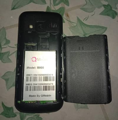 Q Mobile Read Description