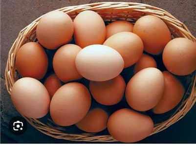 Golden Misri fertilizer eggs available