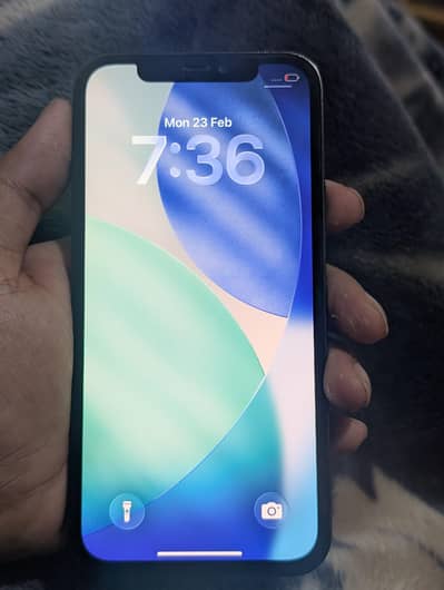 iphone 12 pro factory unlock face id off