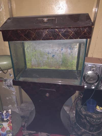 2.5 feet Aquarium urgent for Sale