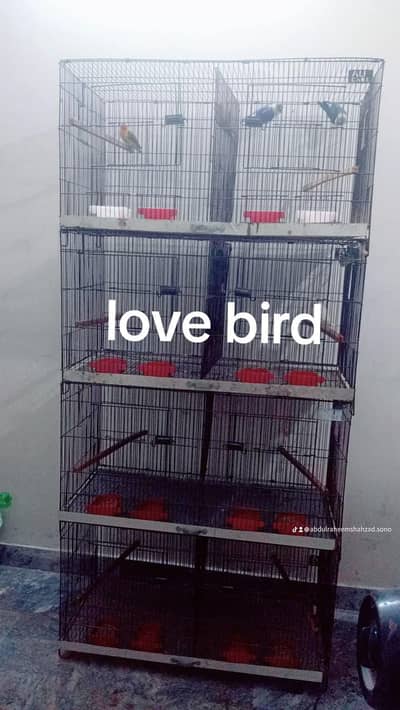bird cage for sale hy