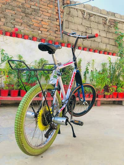 medium phonex frame cycle