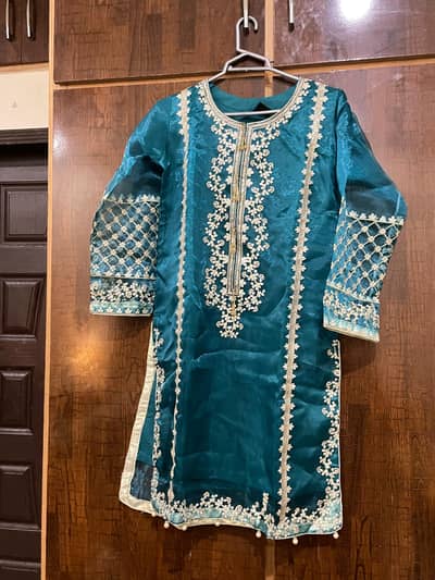 unused fancy dresses