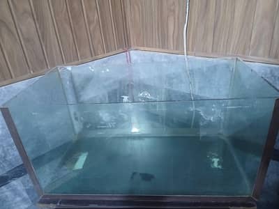 2x1 feet fish aquarium urgent sale