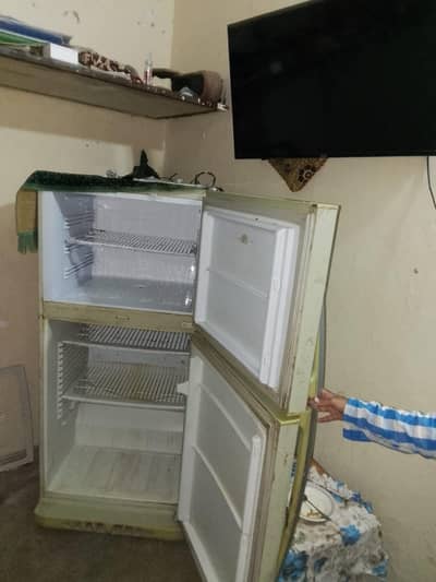 PEL Family size fridge  355ltr