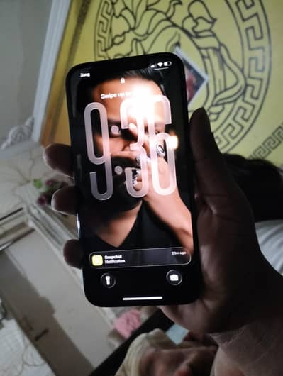 12 pro max pta approved 256 box