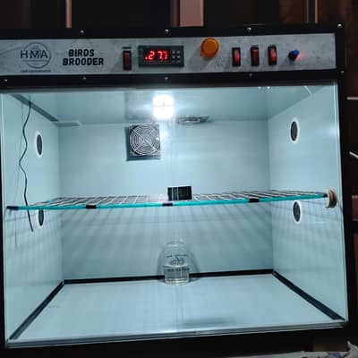 Best Brooder for Birds