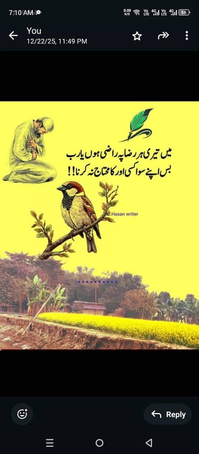 Professional/ experienced tutor available