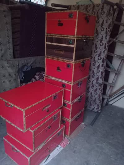 50 and 100 egg incubater