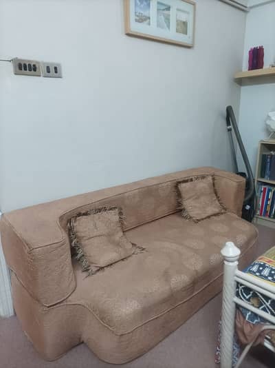 Sofa cum bed (used)