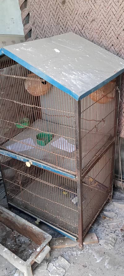 cage for birds
