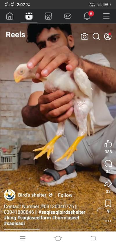 زججددججدھزھز