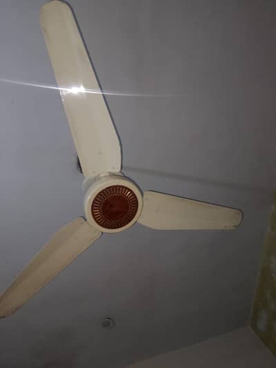 ceiling fan