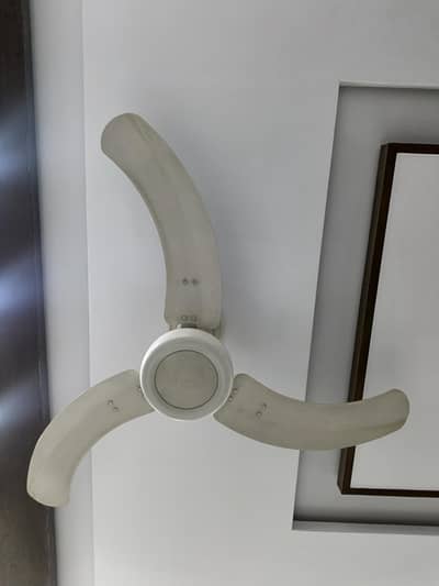 ROYAL CEILING FAN FOR SALE