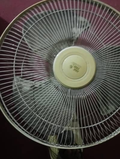 wall fan