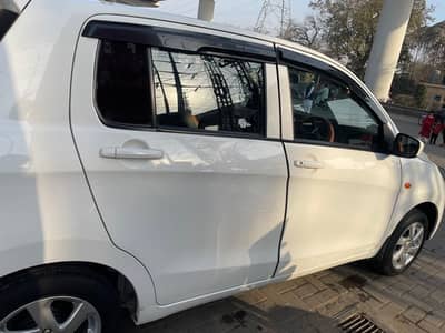 Total genuine CLUTUS 2019