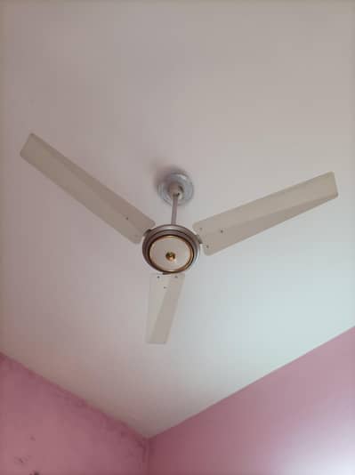 younas fan like a new