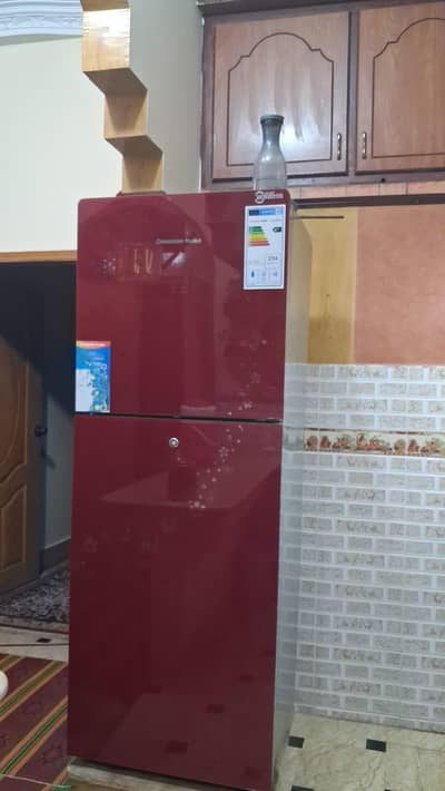 new condition fridge changhong ruba