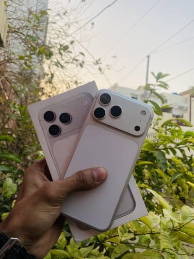 17 pro max non pta fu